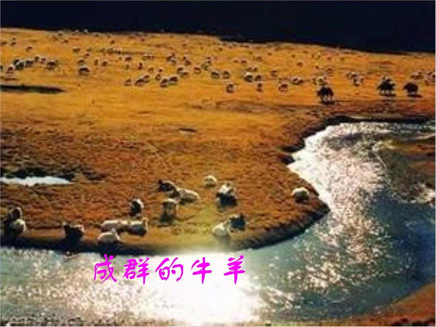 自然資源的基本特征 課件第6頁