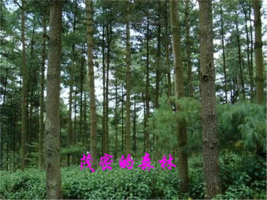 自然資源的基本特征 課件第8頁