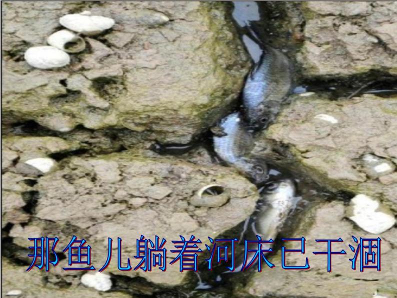 3.3 中国水资源 （课件+素材6份）03