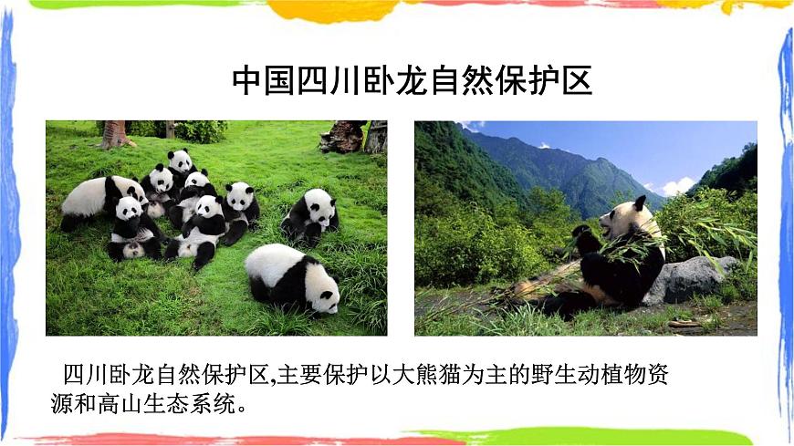 學(xué)習(xí)與探究 中國的自然保護(hù)區(qū) 課件第4頁