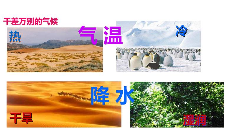 星球版七年级上册地理第四章 《第五节 形成气候的主要因素》课件 (共28张ppt)第4页