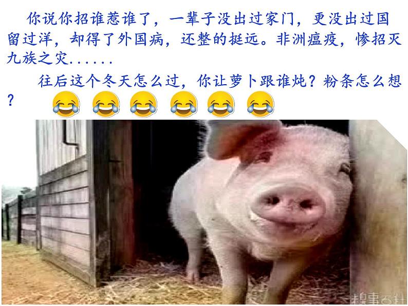 晋教版八上地理4.1 稳步增长的农业 课件(29张幻灯片)02