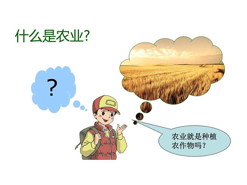晋教版八上地理4.1 稳步增长的农业 课件(29张幻灯片)03