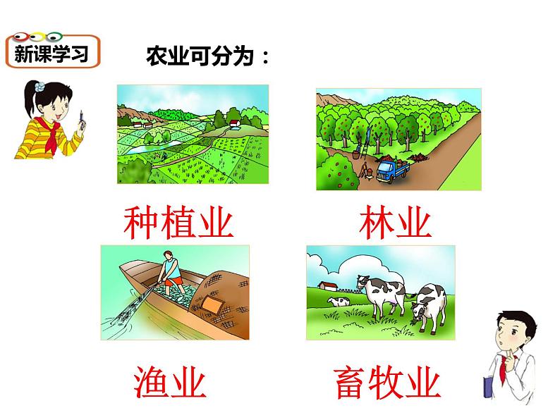 晋教版八上地理4.1 稳步增长的农业 课件(29张幻灯片)05