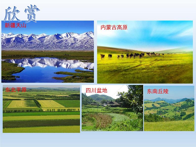 2.1 中国的地形(课时1) 课件-湘教版八年级地理上册02