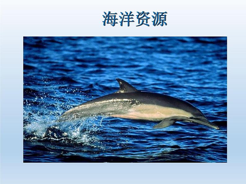 3.1 自然资源概况 课件-湘教版八年级地理上册08