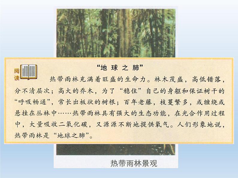 4.4 世界主要气候类型 课件-湘教版七年级地理上册第5页