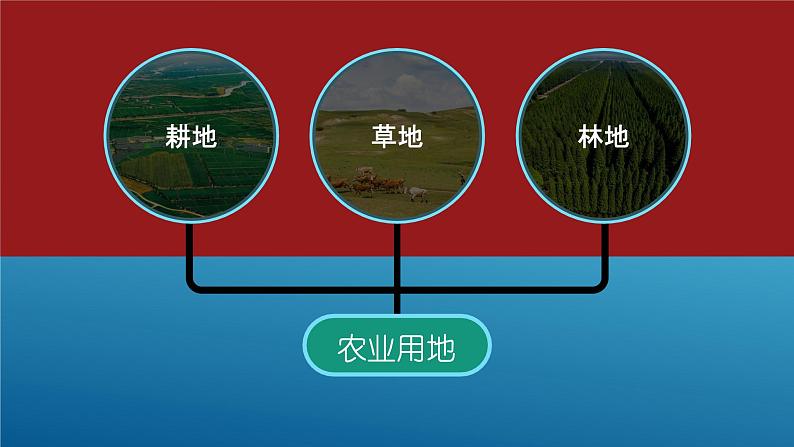 3.2 土地资源-八年级地理上册同步精品课件(人教版)第6页