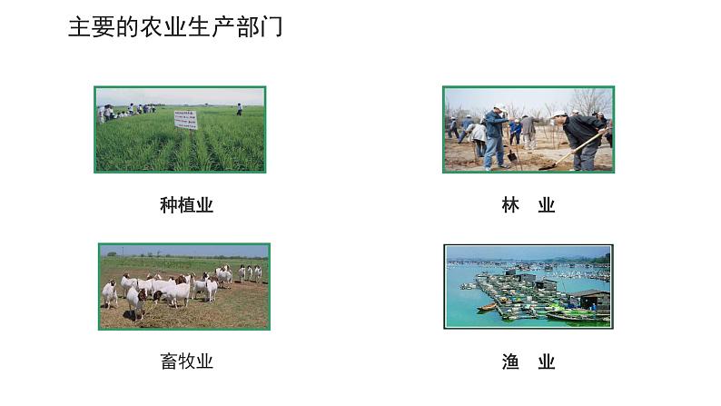 4.2 农业(课时1)-八年级地理上册同步精品课件(人教版)第4页