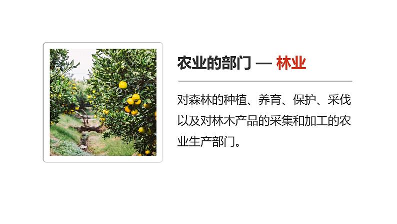 4.2 农业(课时1)-八年级地理上册同步精品课件(人教版)第6页