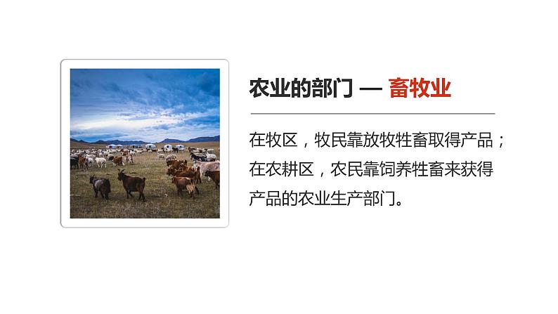 4.2 农业(课时1)-八年级地理上册同步精品课件(人教版)第7页