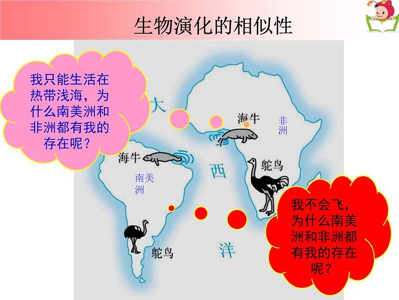 商务星球版 地理七年级上册课件:第3章 第二节 海陆变迁07