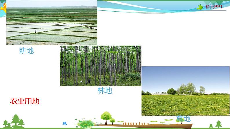 (人教版)八年级地理上册同步备课 3.2 土地资源(课件)03