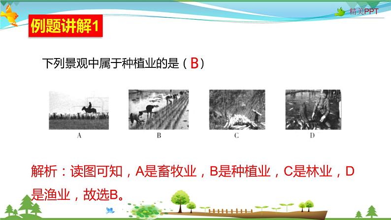 (人教版)八年级地理上册同步备课 4.2 农业(课件)第6页
