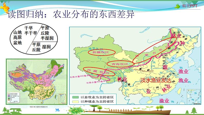 (人教版)八年级地理上册同步备课 4.2 农业(课件)第8页