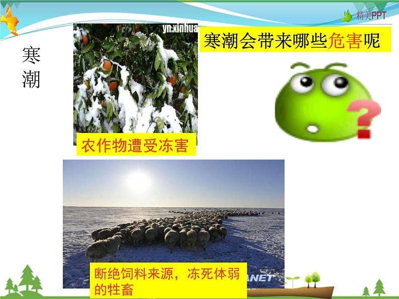 (湘教版)八年级地理上册课时同步课件 2.2 中国的气候第四课时05