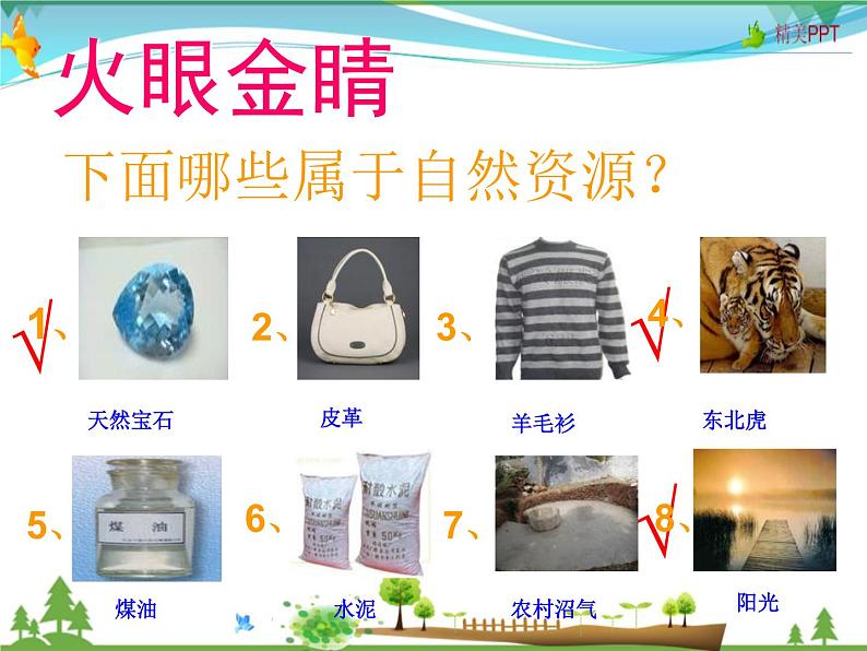 (湘教版)八年级地理上册课时同步课件 3.1自然资源概况第3页