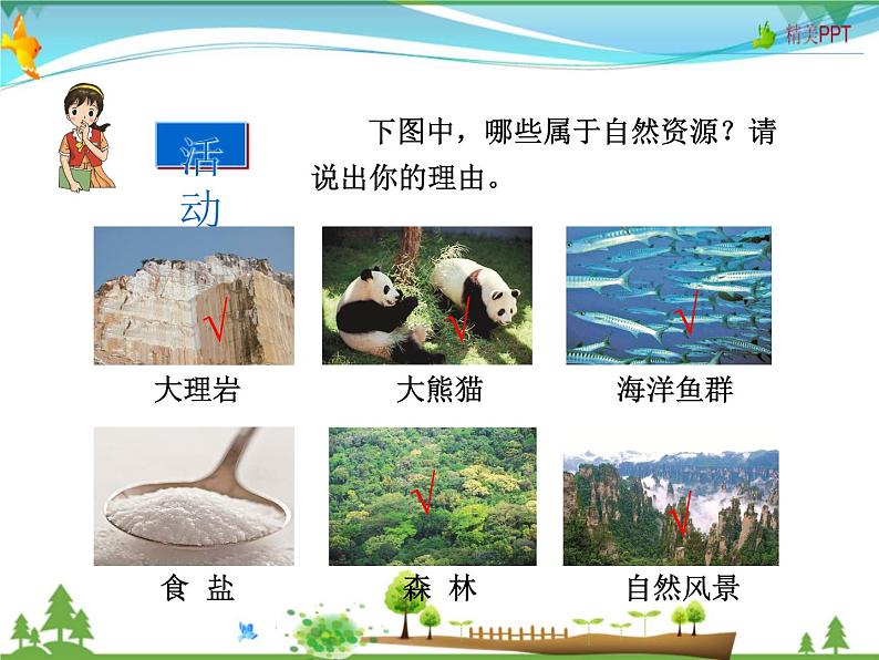 (湘教版)八年级地理上册课时同步课件 3.1自然资源概况第4页