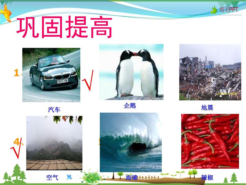 (湘教版)八年级地理上册课时同步课件 3.1自然资源概况第5页