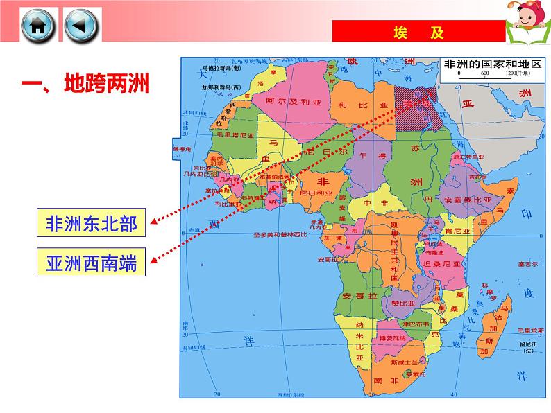 湘教版七年级地理下册8.2 埃及课件第5页