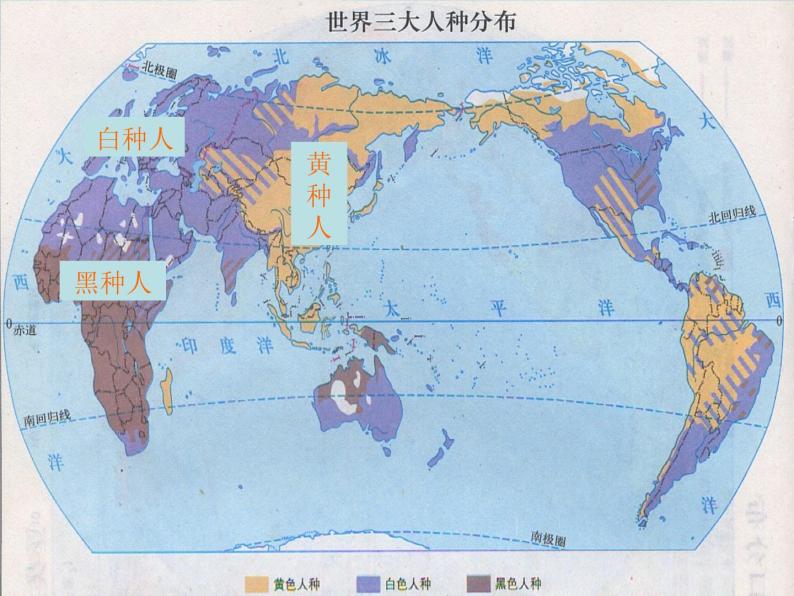 粤教初中地理七上《第5章第二节　世界的人种、语言和宗教》PPT课件 (8)07