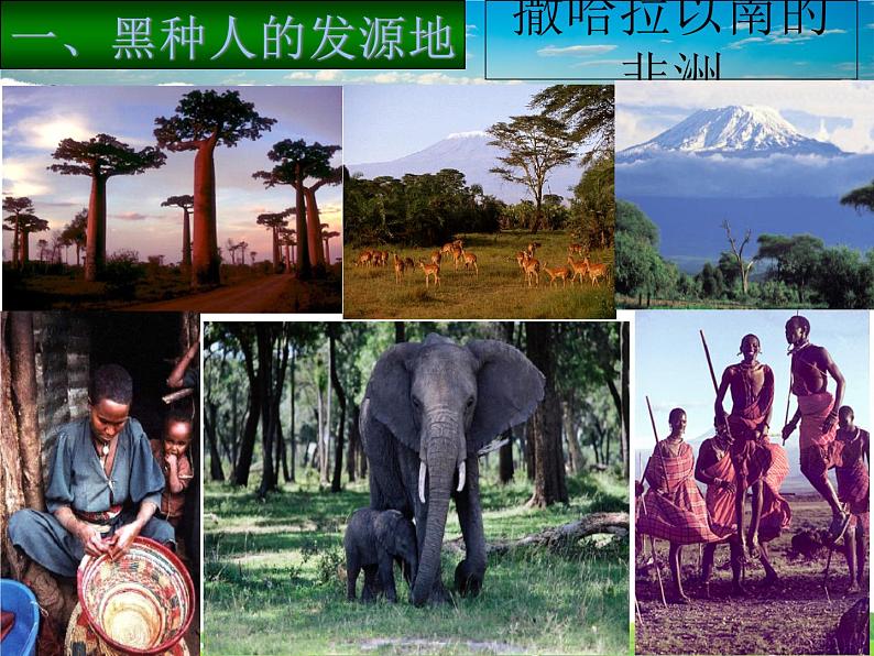 粤教版地理七年级下册 《第10章第二节 黑种人的故乡-撒哈拉以南非洲》PPT课件 (1)第6页