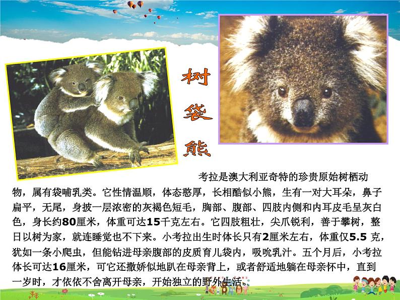 粤教版地理七年级下册 《第10章第三节 大洋中的陆地-大洋洲》PPT课件 (2)第8页
