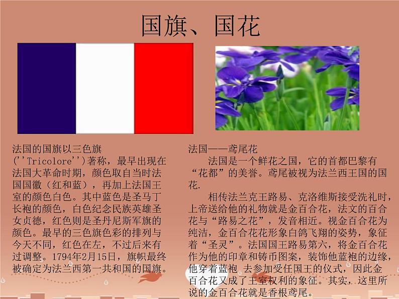 湘教版地理七年级下册 《第8章第4节 法国》PPT课件 (3)第5页