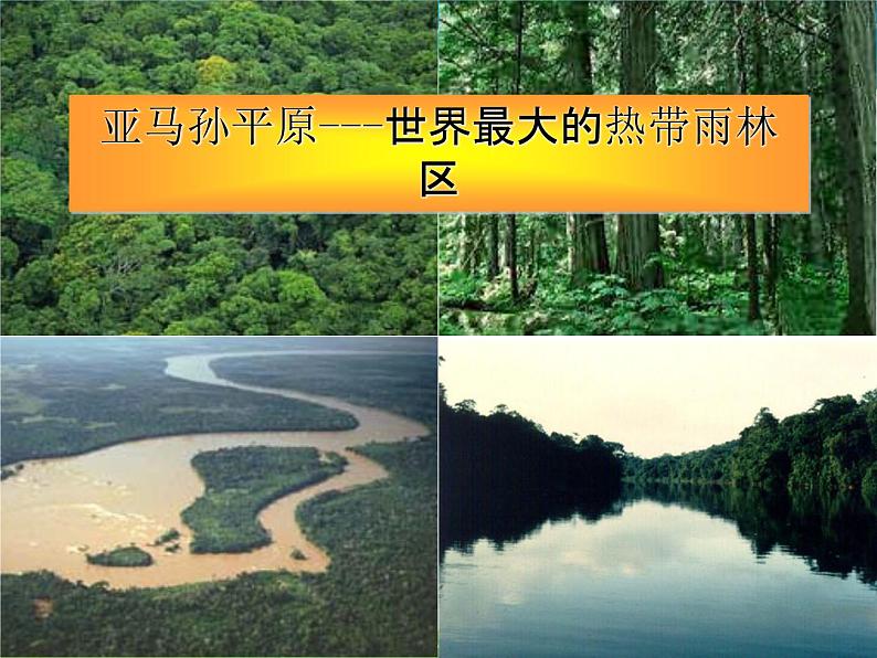 湘教版地理七年级下册 《第8章第6节 巴西》PPT课件 (4)第6页