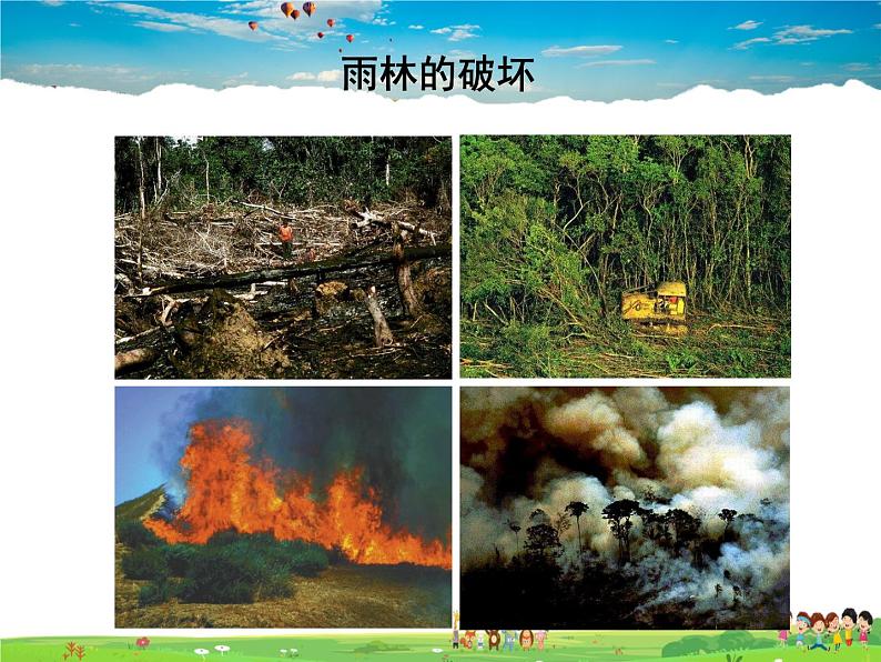 湘教版地理七年级下册 《第8章第6节 巴西》PPT课件 (4)第8页
