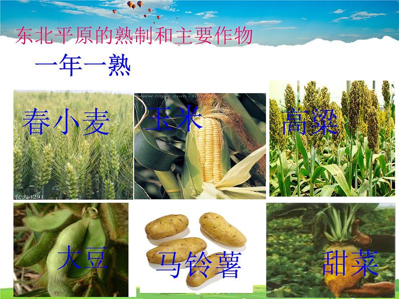 湘教版地理八年级下册 《第6章第3节 东北地区的产业分布》PPT课件 (8)02