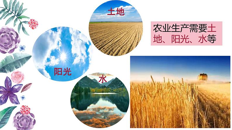 人教版八年级上册地理第三章第一节《自然资源的基本特征》课件03