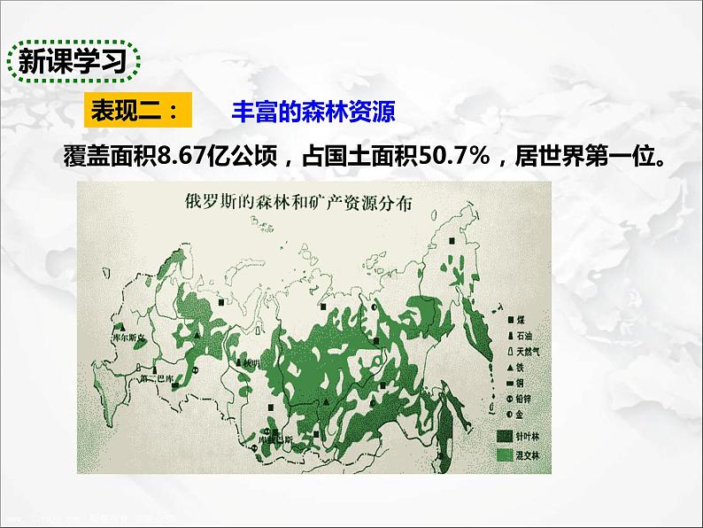 人教版地理七年级下册课件7.4 俄罗斯(第2课时)第5页