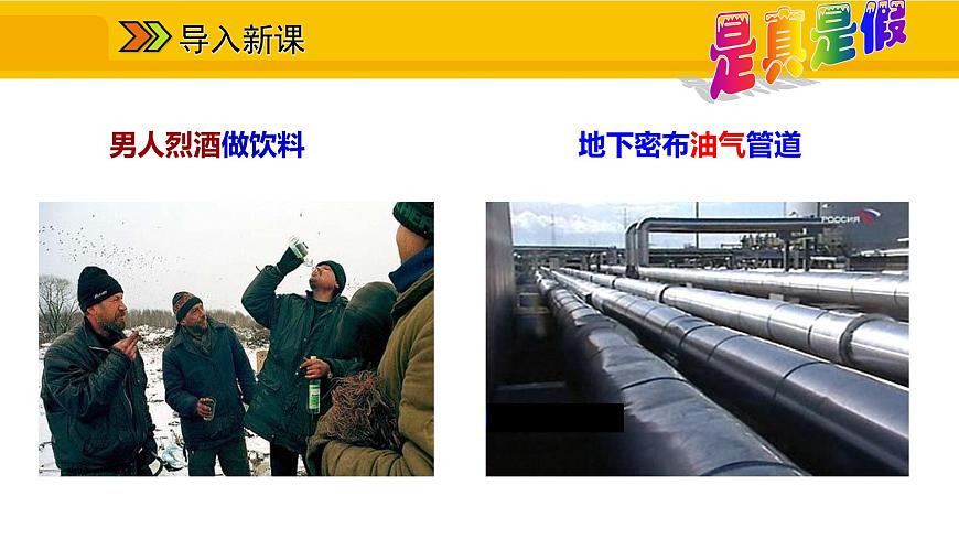 第七章 第四節(jié) 俄羅斯 一 橫跨亞歐大陸北部 自然資源豐富課件第4頁