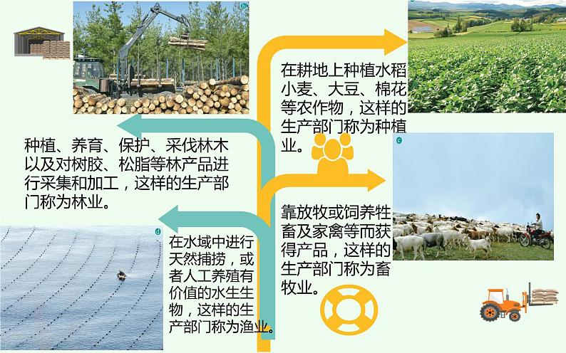 人教版八年级地理上册第四章第二节农业(第一课时)课件第6页