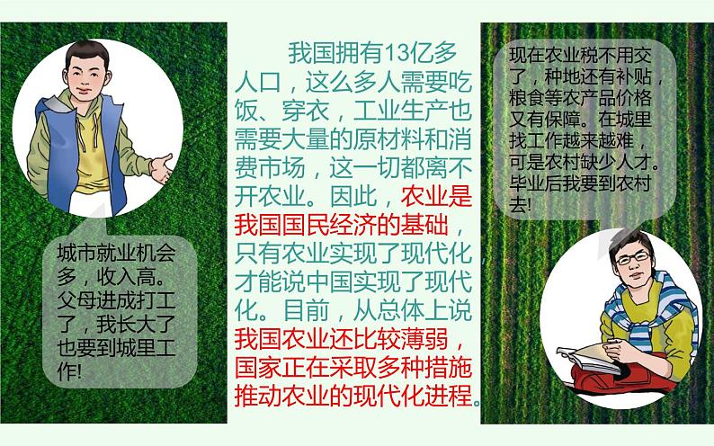 人教版八年级地理上册第四章第二节农业(第一课时)课件第7页