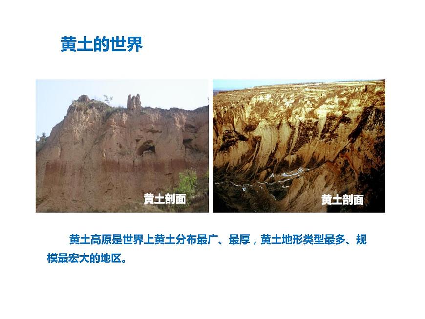 晉教版地理八年級(jí)下冊(cè) 6.2  第1課時(shí)    黃土鋪就的高原、千溝萬(wàn)壑的地表形態(tài)、水土流失最嚴(yán)重的地區(qū)課件PPT第6頁(yè)