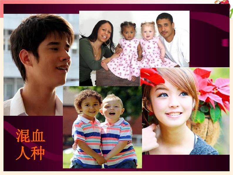 湘教版地理七年级上册 第三章 第二节 世界的人种(5)(课件)第7页
