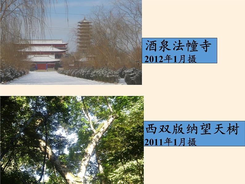 湘教版地理七年级上册 第四章 第二节 气温和降水(4)(课件)第4页