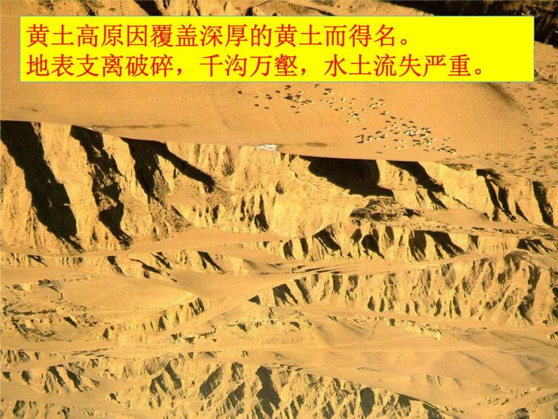 人教版地理八年级下册 6.3世界最大的黄土堆积区——黄土高原  课件03