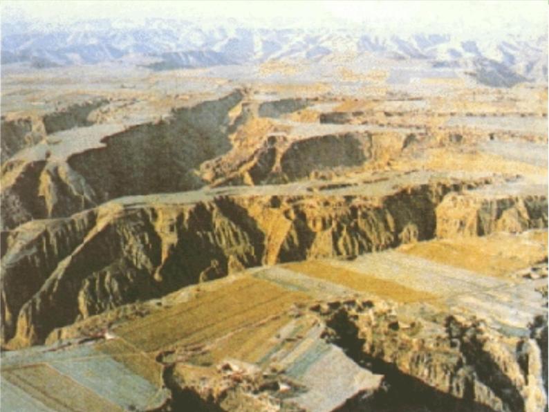 人教版地理八年级下册 6.3世界最大的黄土堆积区——黄土高原  课件05
