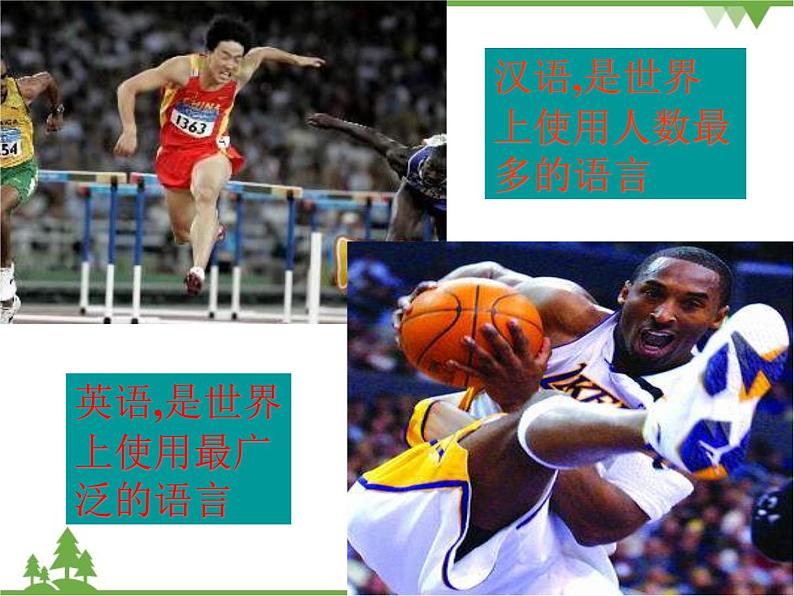 人教版七年级上册 地理:4.2《世界的语言和宗教》课件第7页