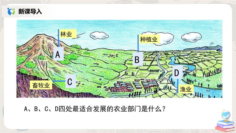 人教版（新课标）八年级地理下册：8.2《干旱的宝地——塔里木盆地》（课件+教案+练习）02