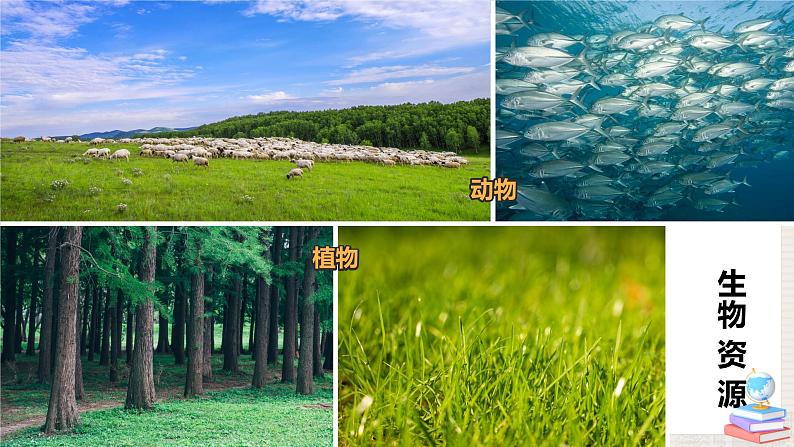湘教版地理八上:3.1《自然资源概况》(课件+教案+练习)07
