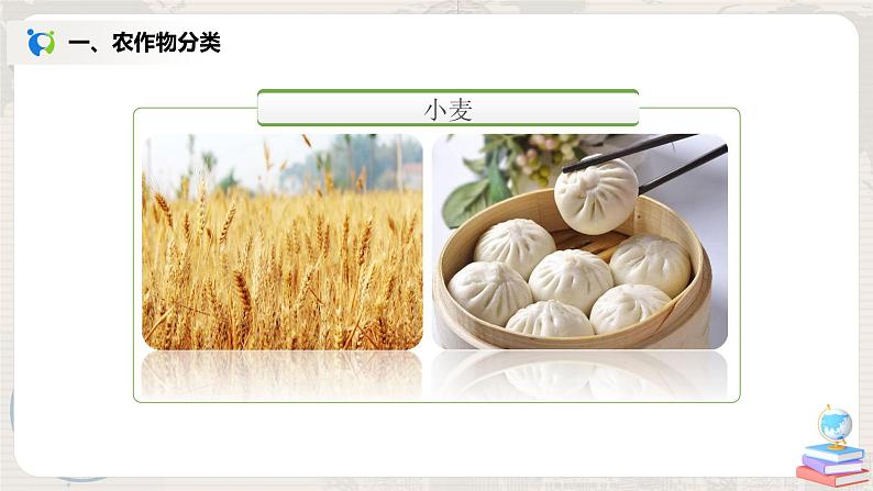 湘教版地理八上:4.1《农业》(第二课时)(课件+教案)03