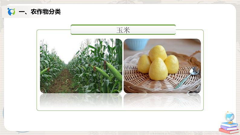 湘教版地理八上:4.1《农业》(第二课时)(课件+教案)05