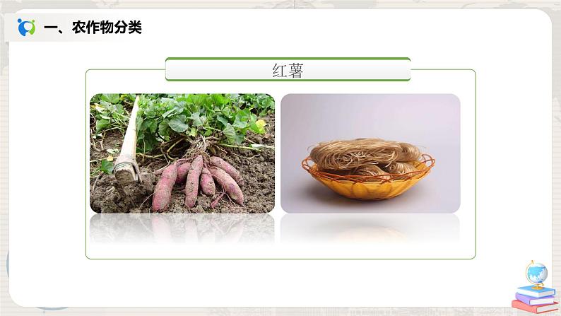 湘教版地理八上:4.1《农业》(第二课时)(课件+教案)06