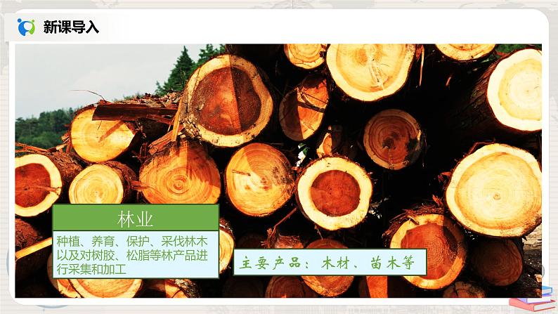 湘教版地理八上:4.1《农业》(第一课时)(课件+教案+练习)05