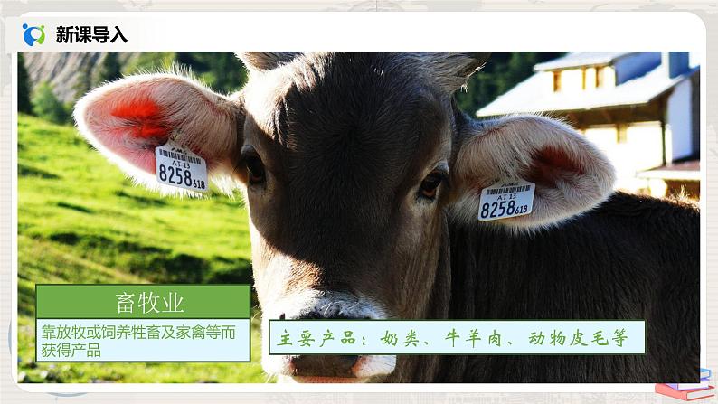 湘教版地理八上:4.1《农业》(第一课时)(课件+教案+练习)06