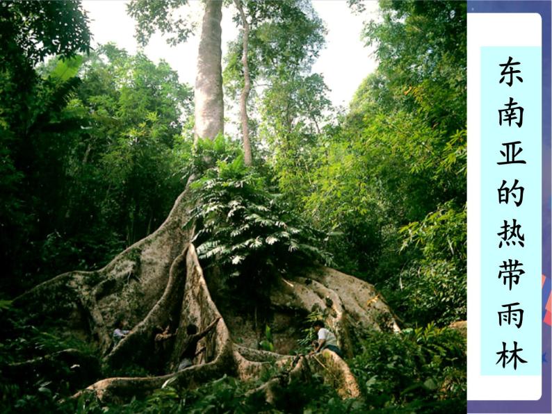 鲁科版六下地理 6.2 自然环境_亚洲的自然环境（课件+素材）04